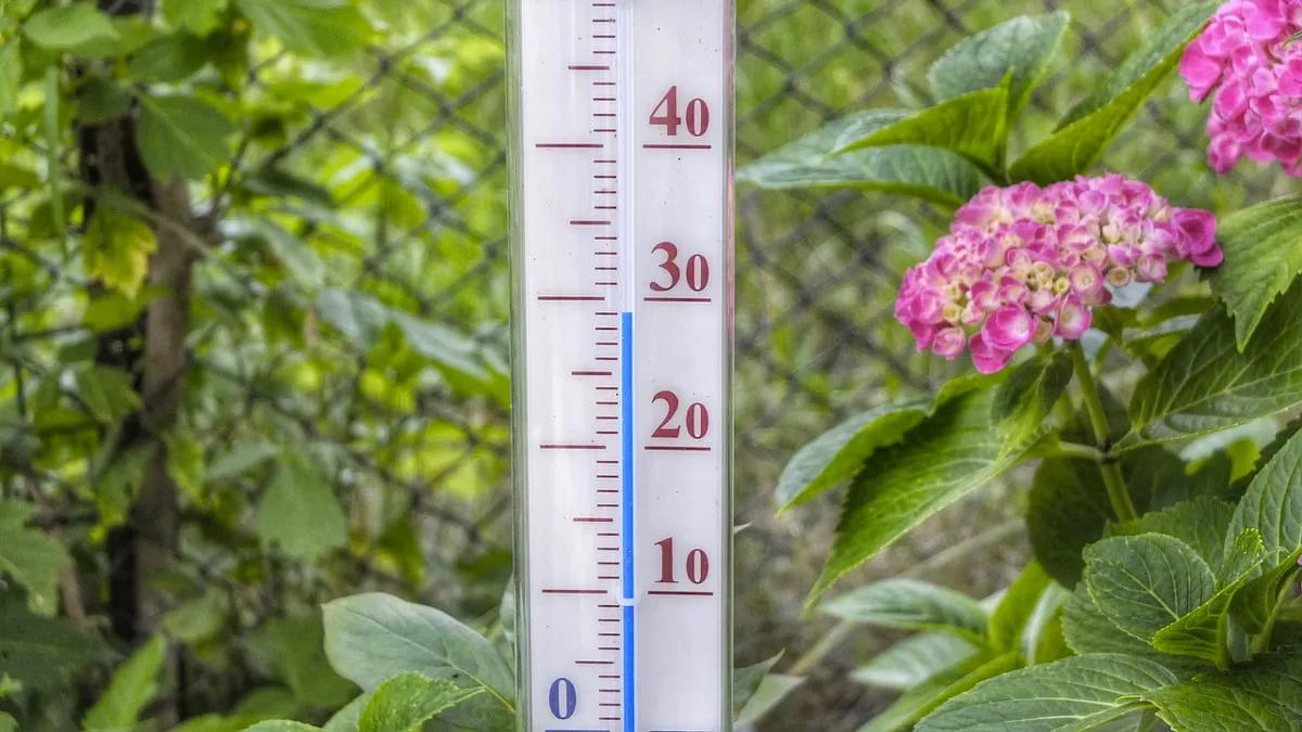 thermometer buitentemperatuur 29 graden