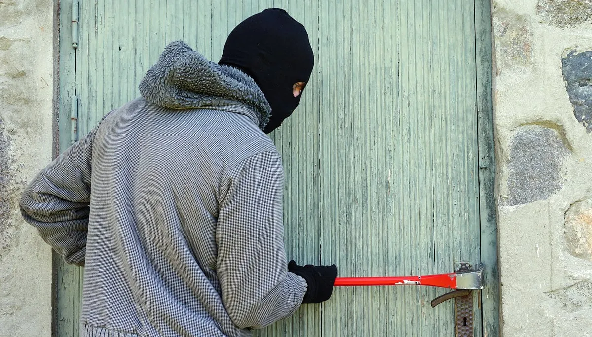 thief 1562699 1920 dief inbreker