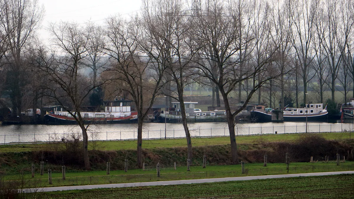 trierveld 29 december 2020 uitzicht op berghaven schipperskerk