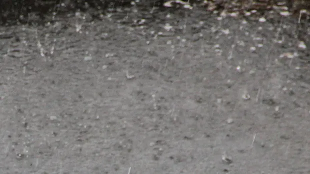 tt9jb2kowql969ffqjrnze3ik plensbui