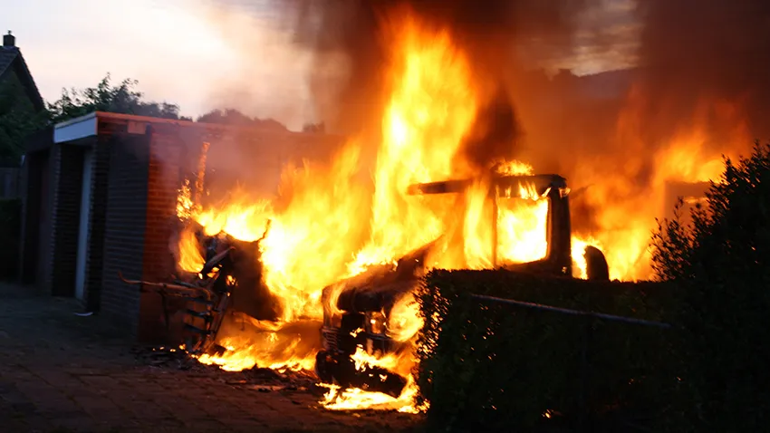 txjfe8tzs1k2qw5nxiugfy1m0 brand leliestraat sanderbout 1 krijntjes