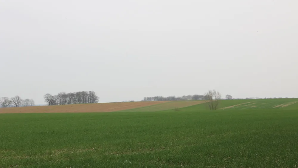 u6svmp1eily6wmdis9u91ohhg kollenberg vanaf duuster gats