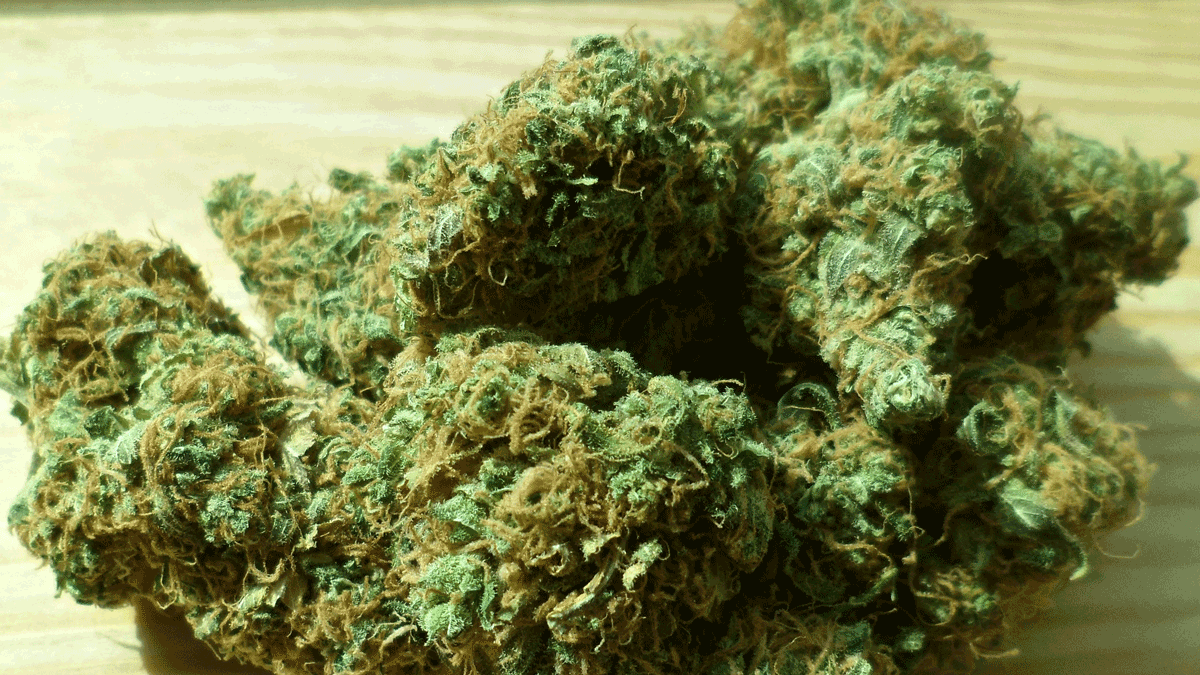 uihjes5saxyzcjmw5xddow6j6 cannabis 4486611920