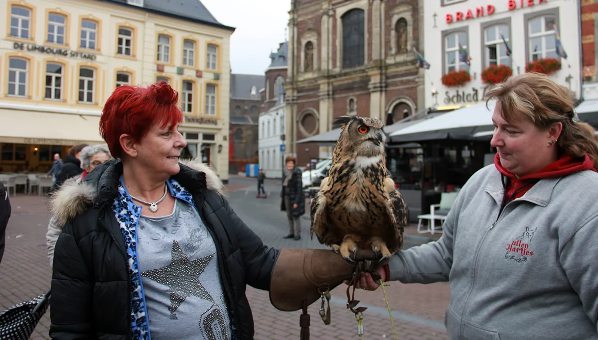 uilenhartjes oehoe 2