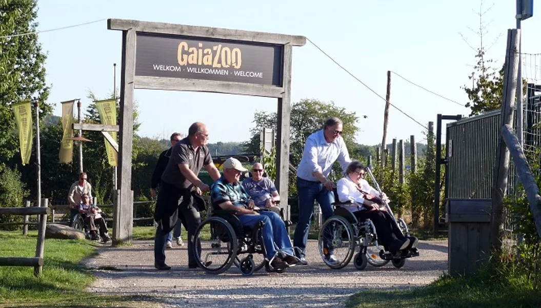 uitje zonnebloem zuidlease