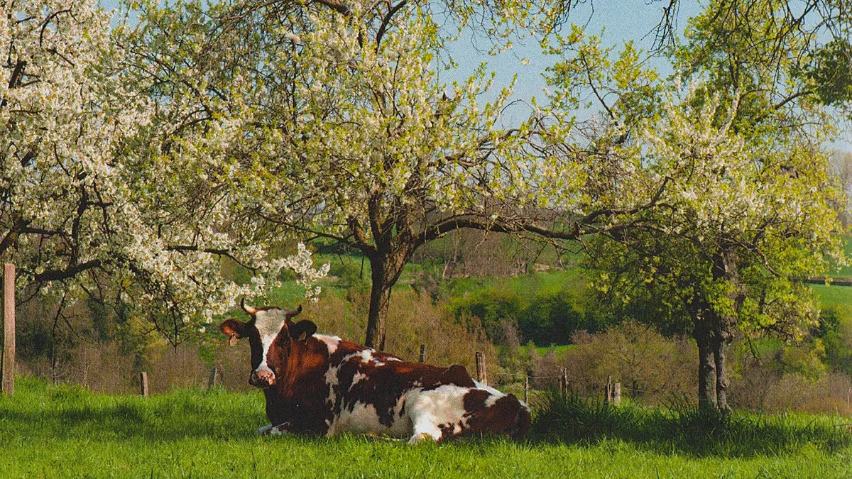 uitnodiging guus4015