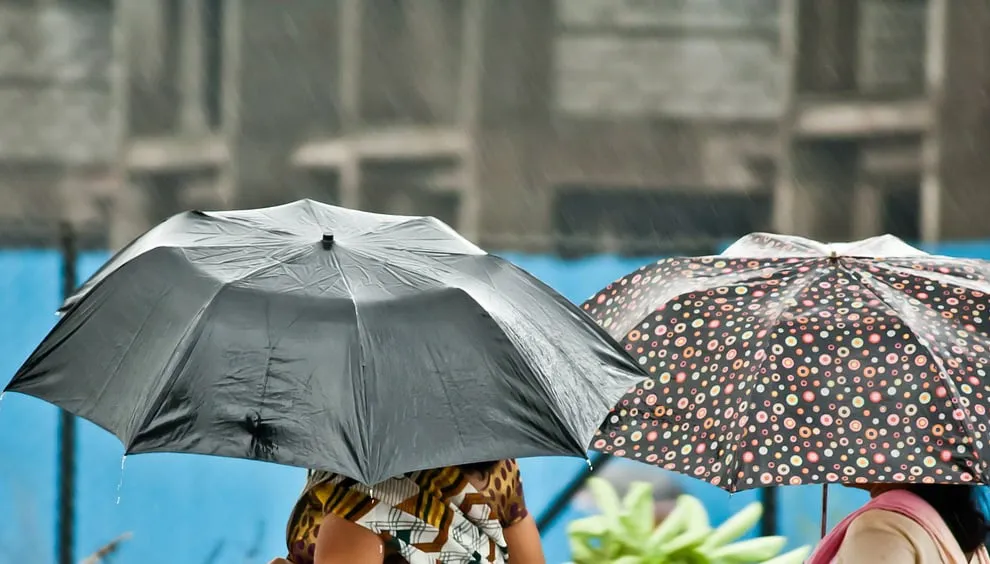 umbrella 390057 1280 nat regen paraplu herfst cc0 via pixabay