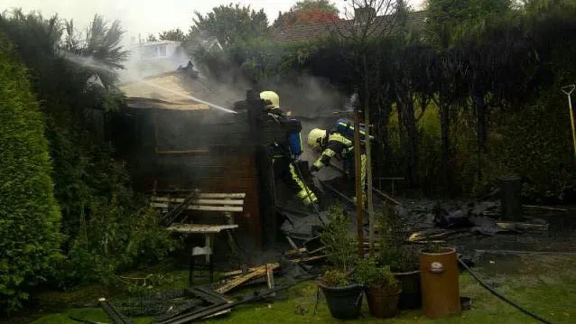 undt3jtfr3yb1eyv679vee0um coniferenbrand obbicht