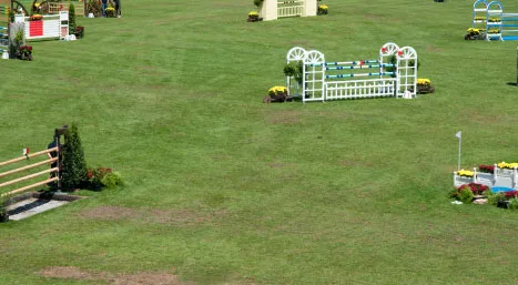 uqgp9un187b0ui85jk0xocq7w 81597