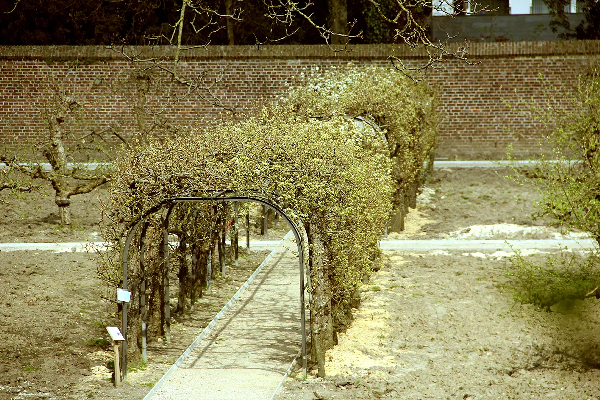 ursulinentuin vanaf wal berceau 9 april 2016