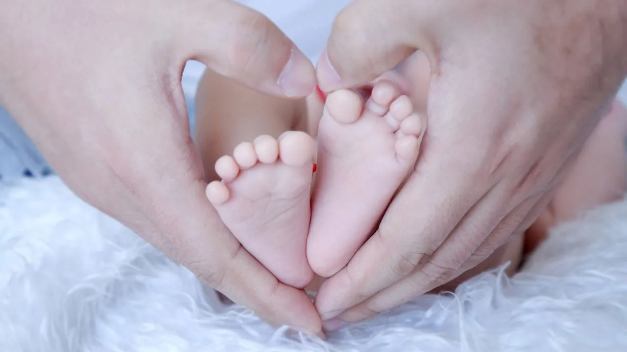 vader voetjes baby cc0 pixabay father 1663312 1280