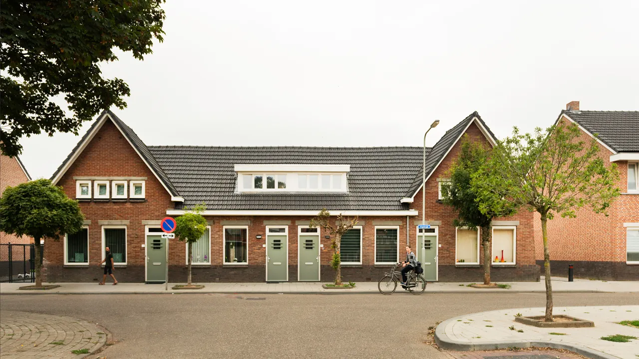 van wijnen 1a sanderbout