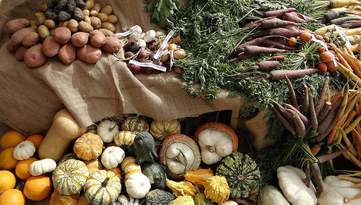 vegetables 1350275 1280 groenten cc0 pixabay