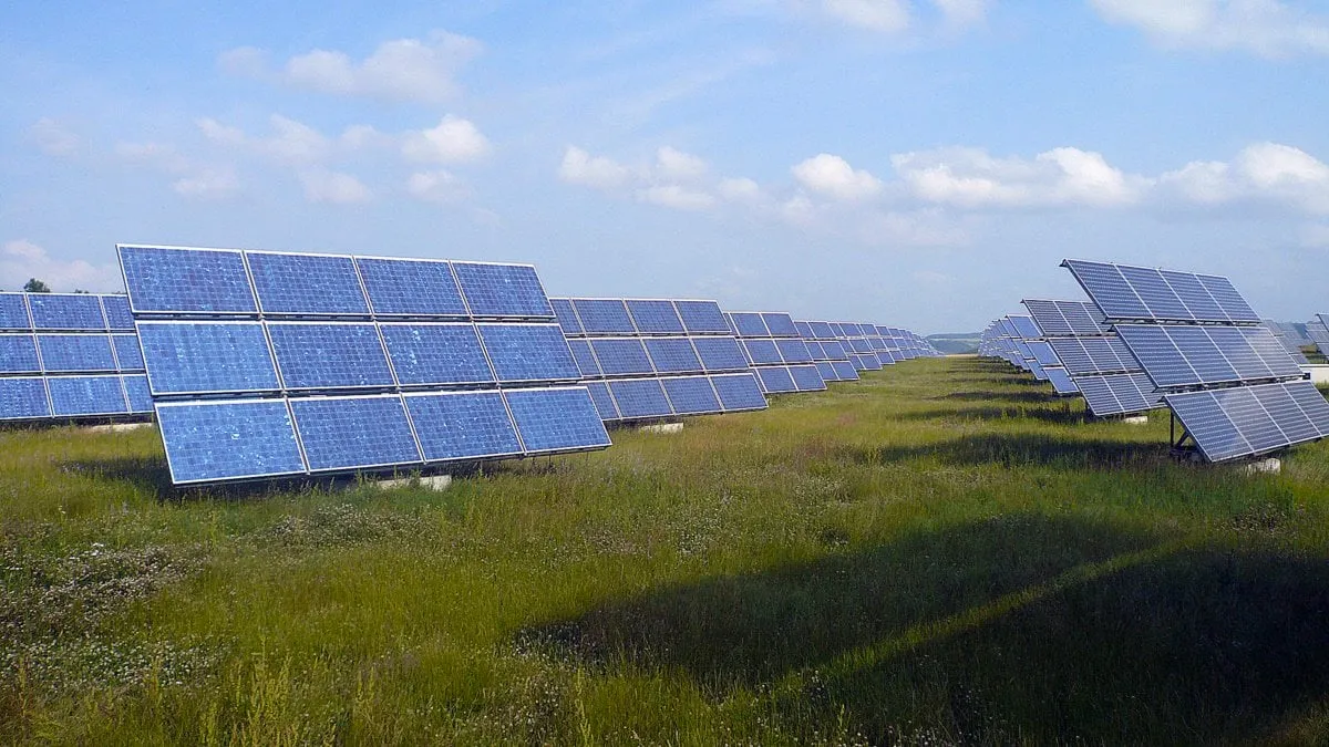 veld vol zonnepanelen