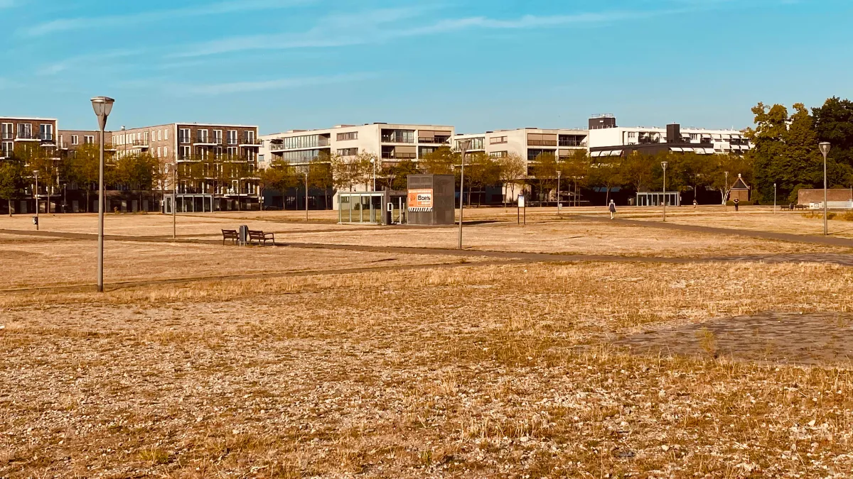 verdorde schootsvelden in sittard