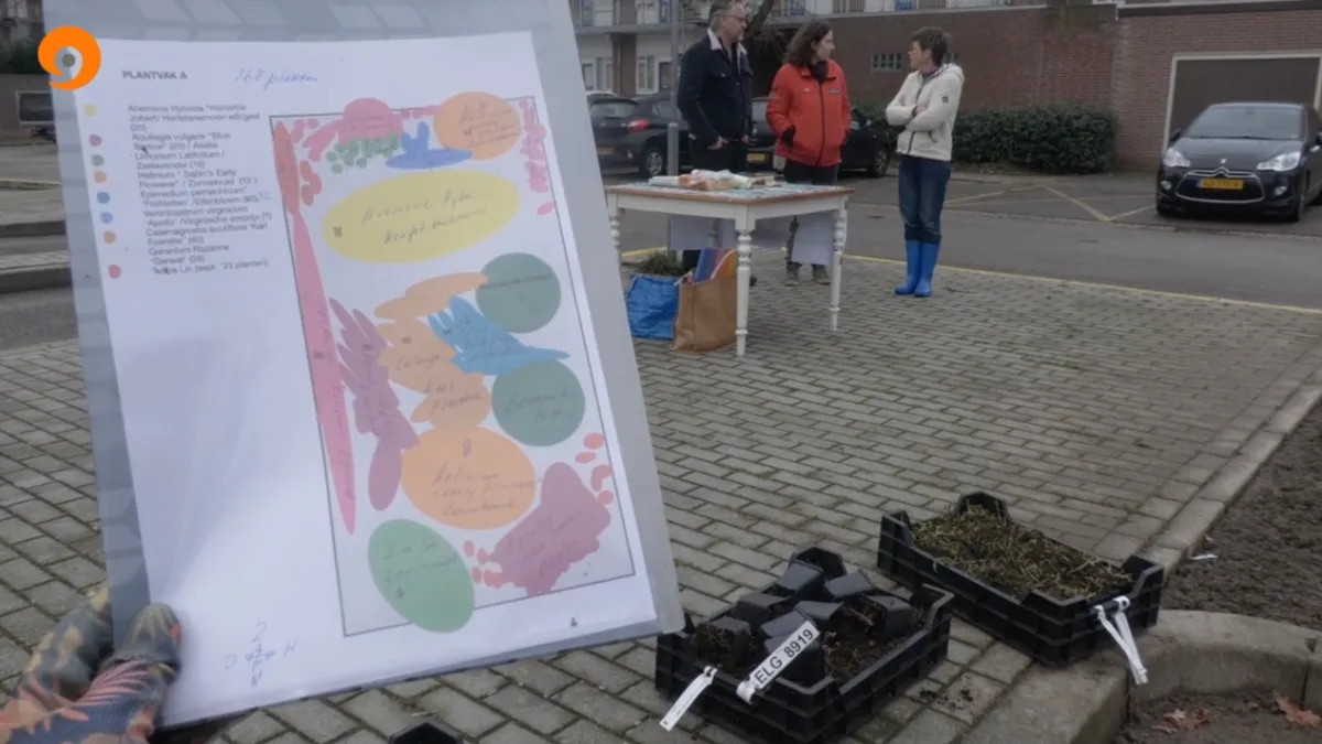 vergroening p steenweg 1