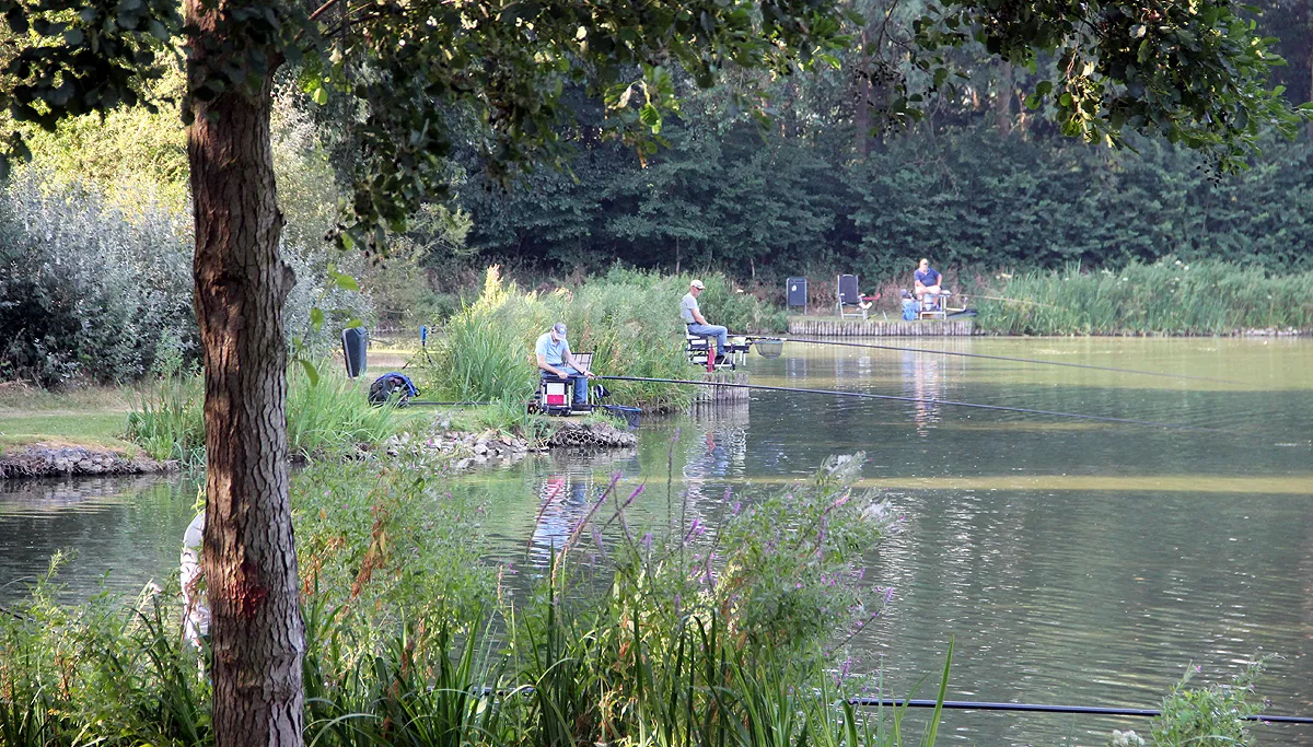 verkoeling aan het water driepoel geleen