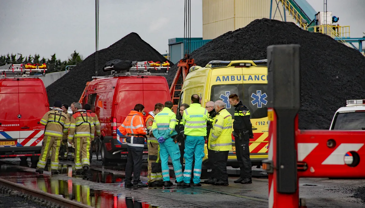 vermissing haven born 1