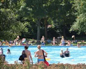 vhvdm3k7ws594mrvyuunir6gj 160465