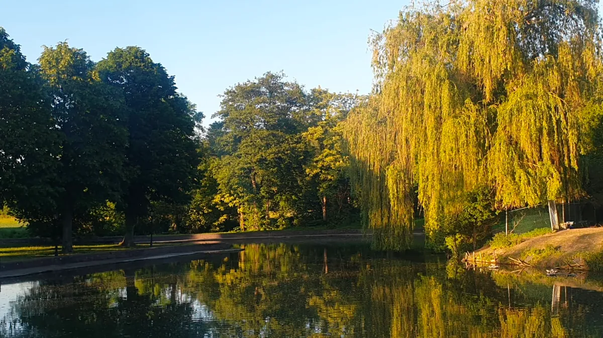 vijver de geulhof