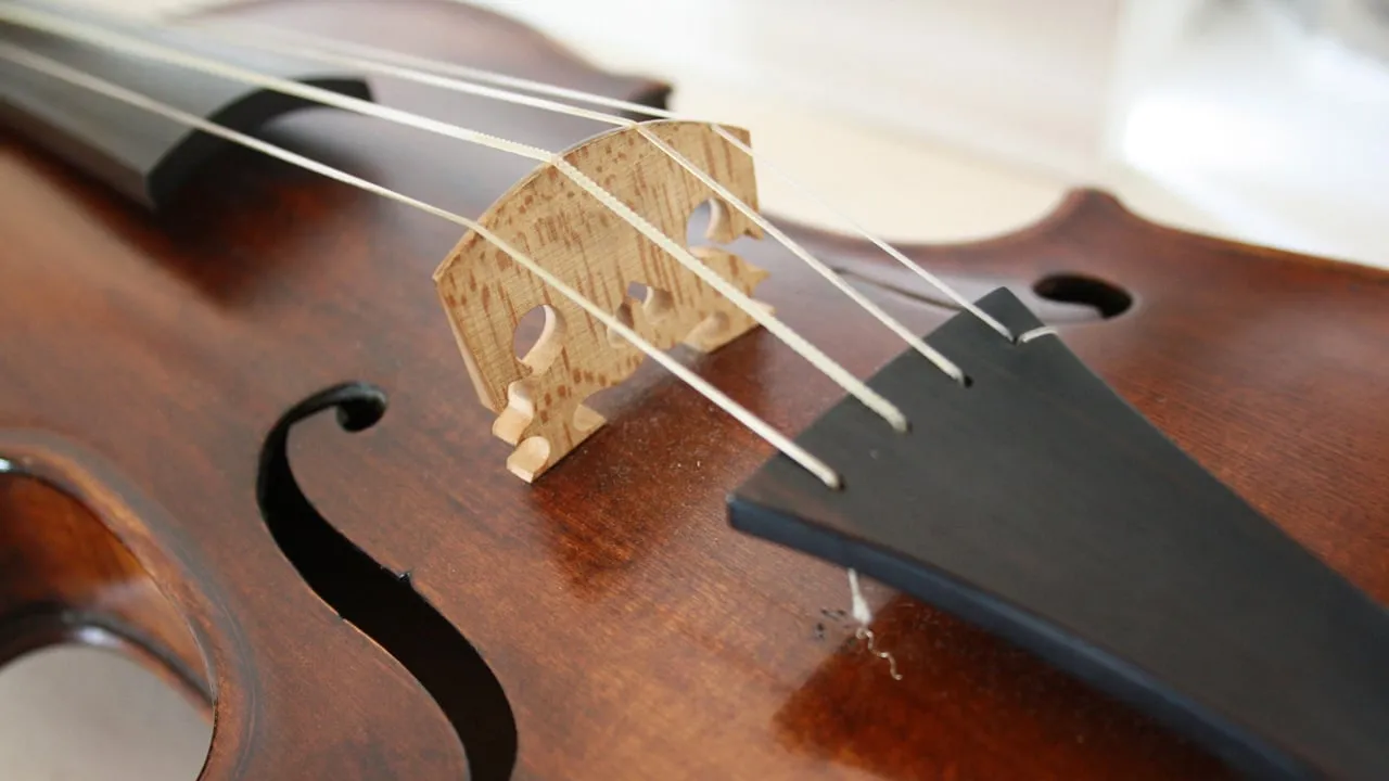 viool snaarinsttrument cc0 pixabay stringed instrument 3131548 1920