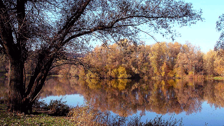 vjx43e2l6wdixn2eydy6rdr1l ivn eijsder beemden 16 9