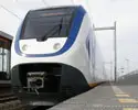 vm5esrbz7gbd15s108h25cnf7 116153