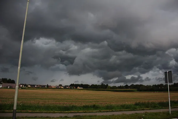 vmh77qs6ysy9y0mj0s7a0hf64 81569