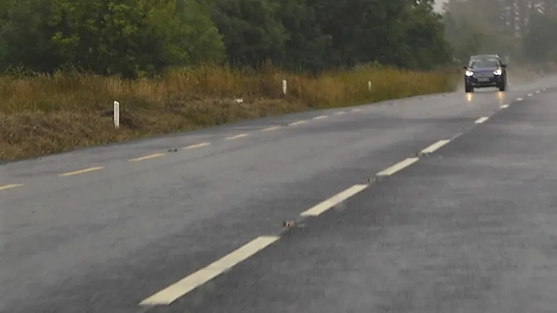 vochtige weg na lichte regen copyright n chadwick cc by sa 20 https wwwgeographiephoto5929337