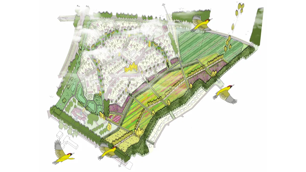 vogelvlucht kollenbergboeren