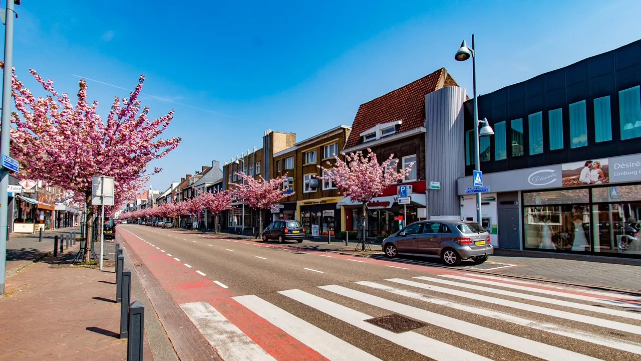 voorjaar japanse kers geleen 6