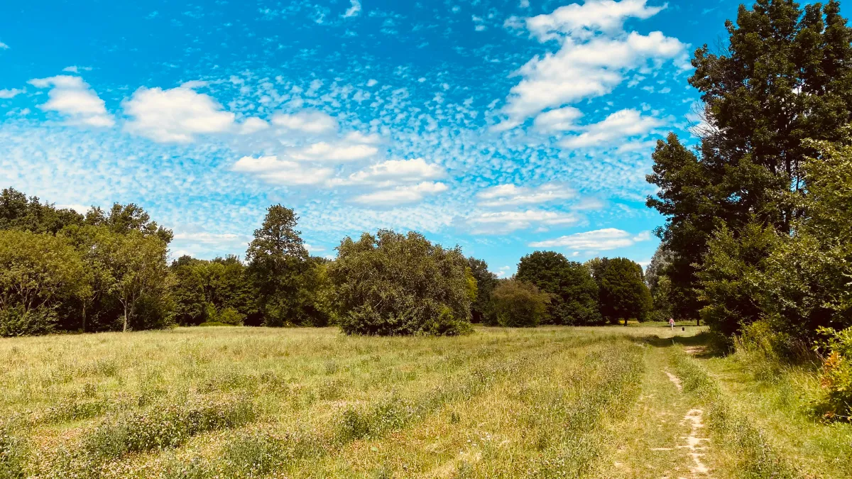 voormalige escs locatie 2 juli 2022 3