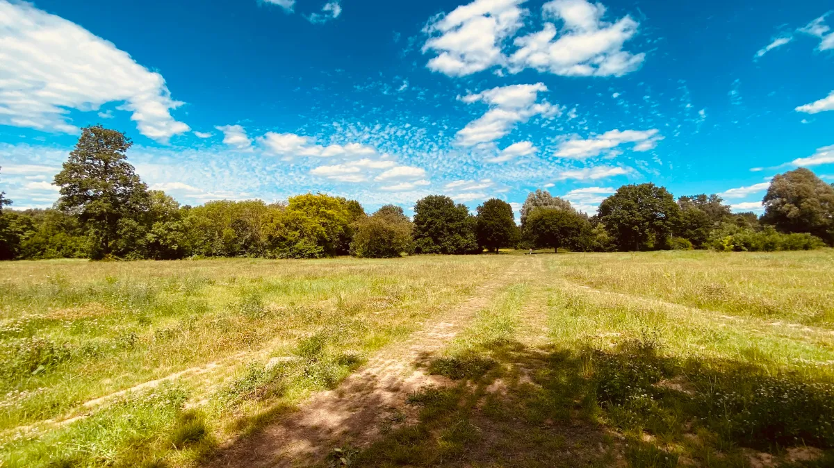 voormalige escs locatie 2 juli 2022 5