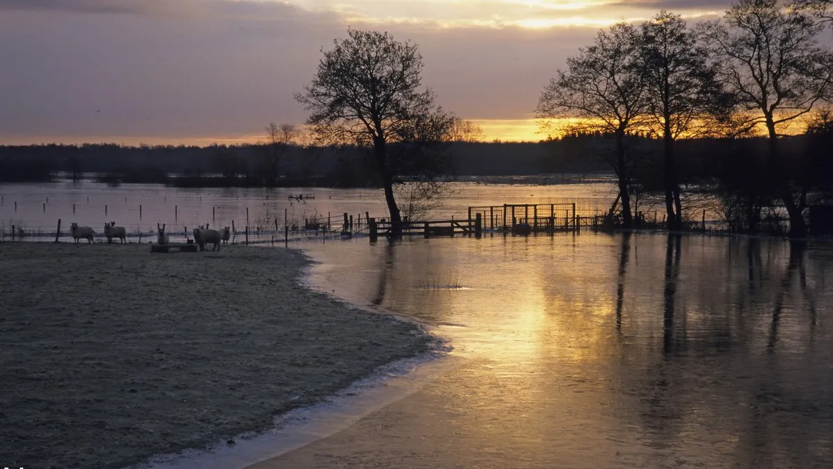 vqbyo7sv083br49a974p3zzrd natuurlandschapwaterbomenwinterochtendzonsopganghqfoton