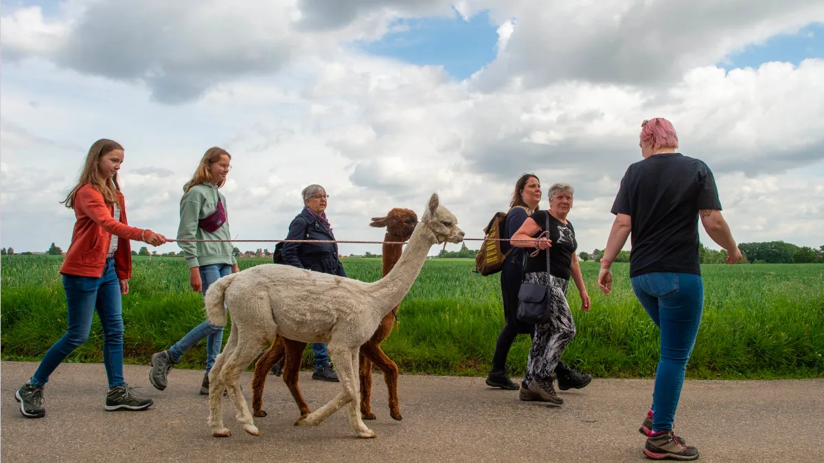 vrijwilligersweekend sittard geleen