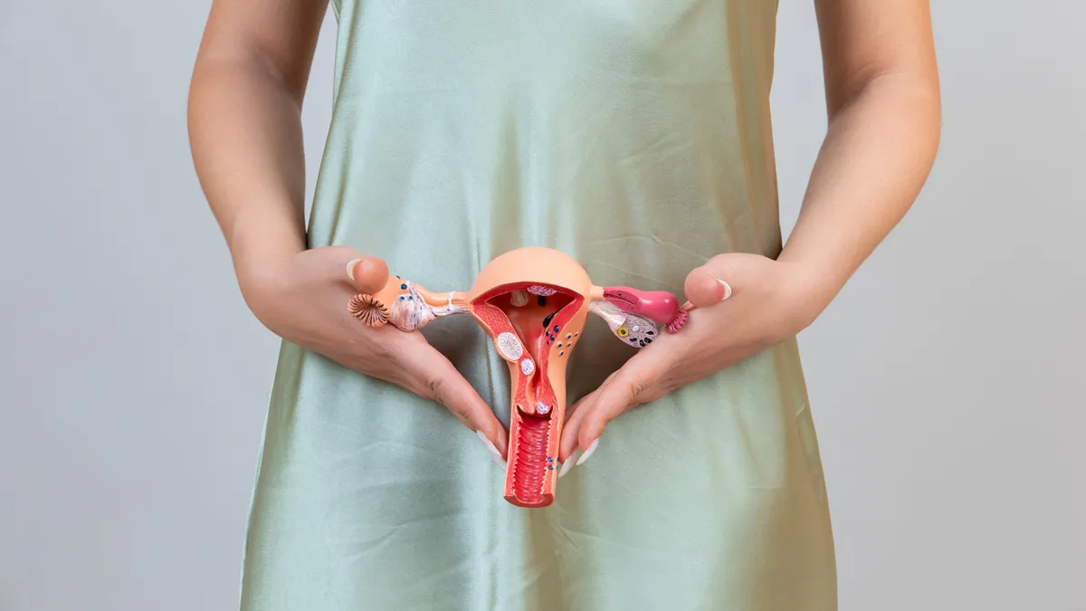 vrouw model baarmoeder