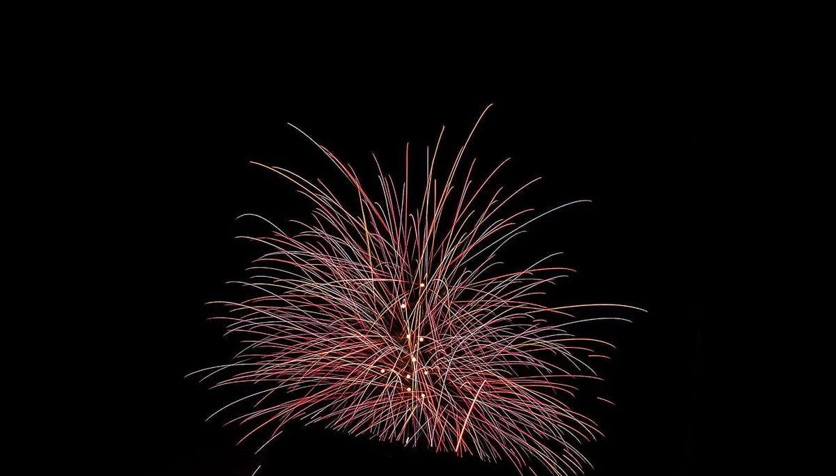 vuurwerk annet wagener 1