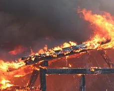 w02oqqr6h2li71z5gozcdnacu 214071