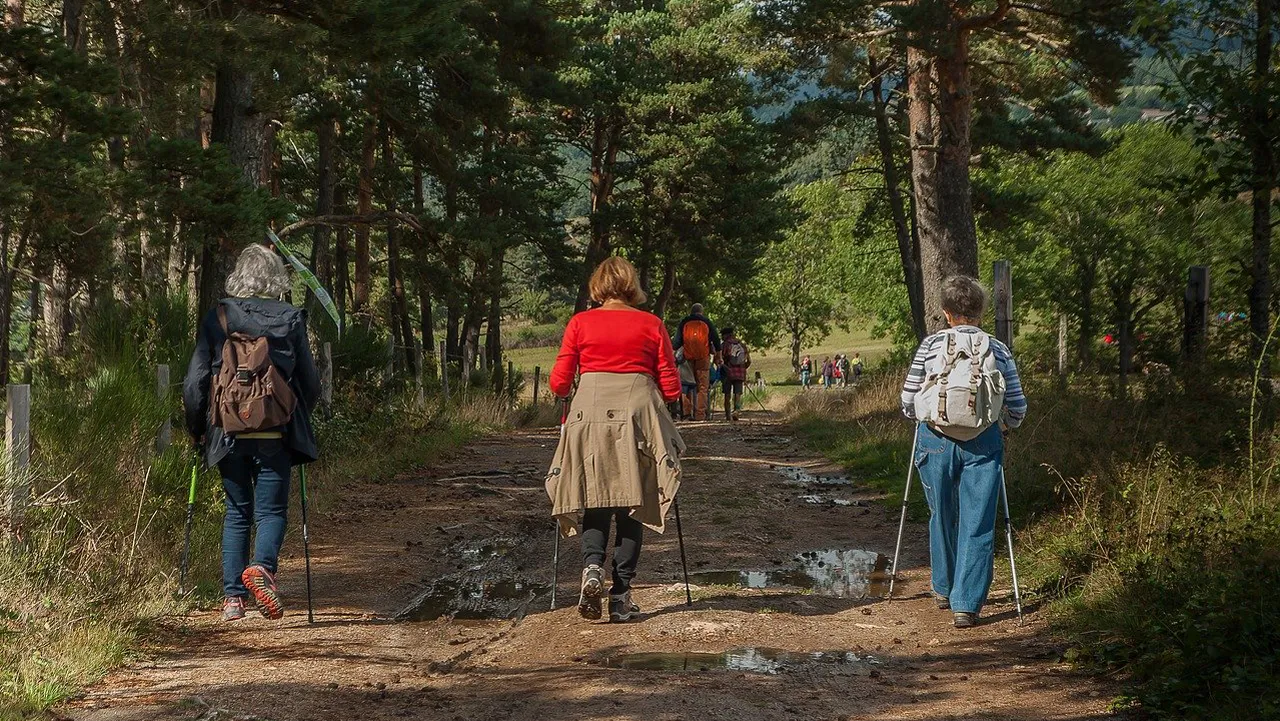 wandelaars cc0 via pixabay