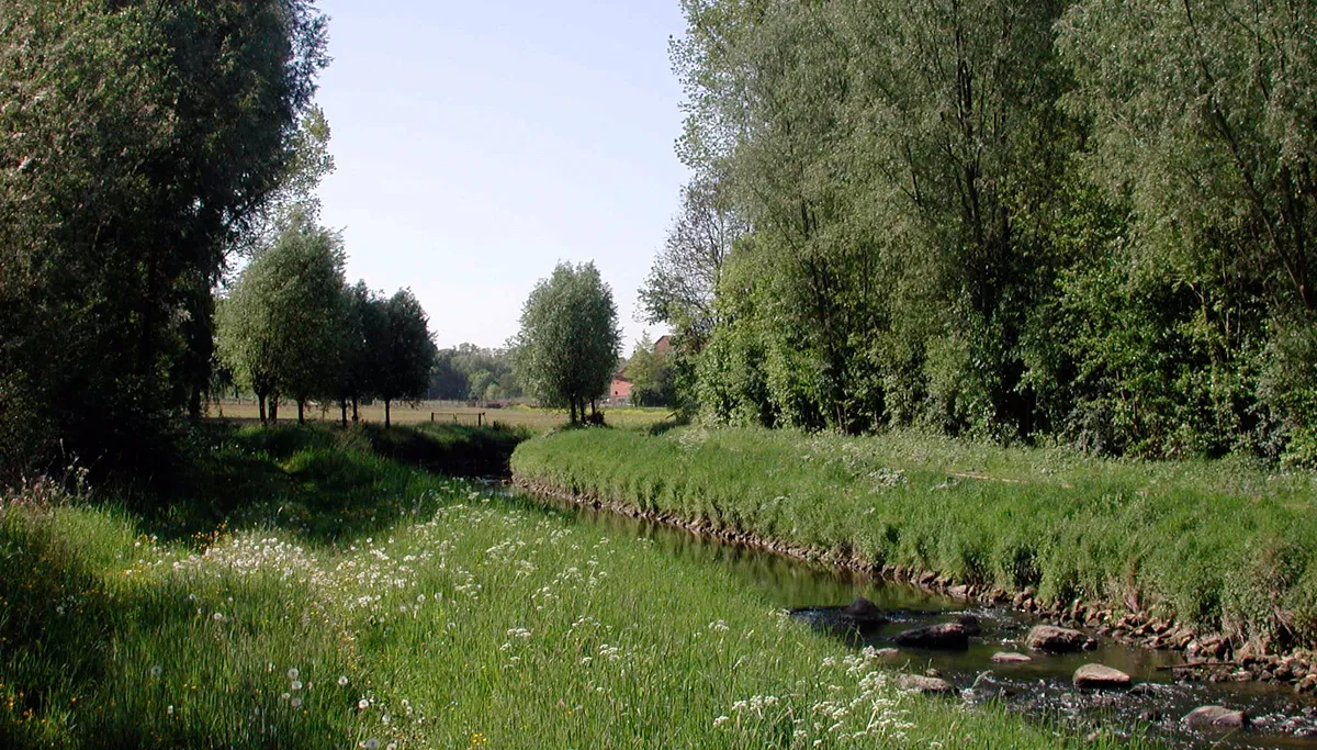 wandelen schitterend schinnen 1 geleenbeek