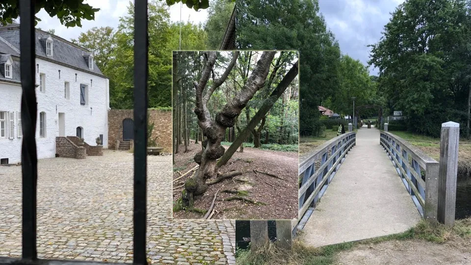 wandeltocht fanclub limburg lions