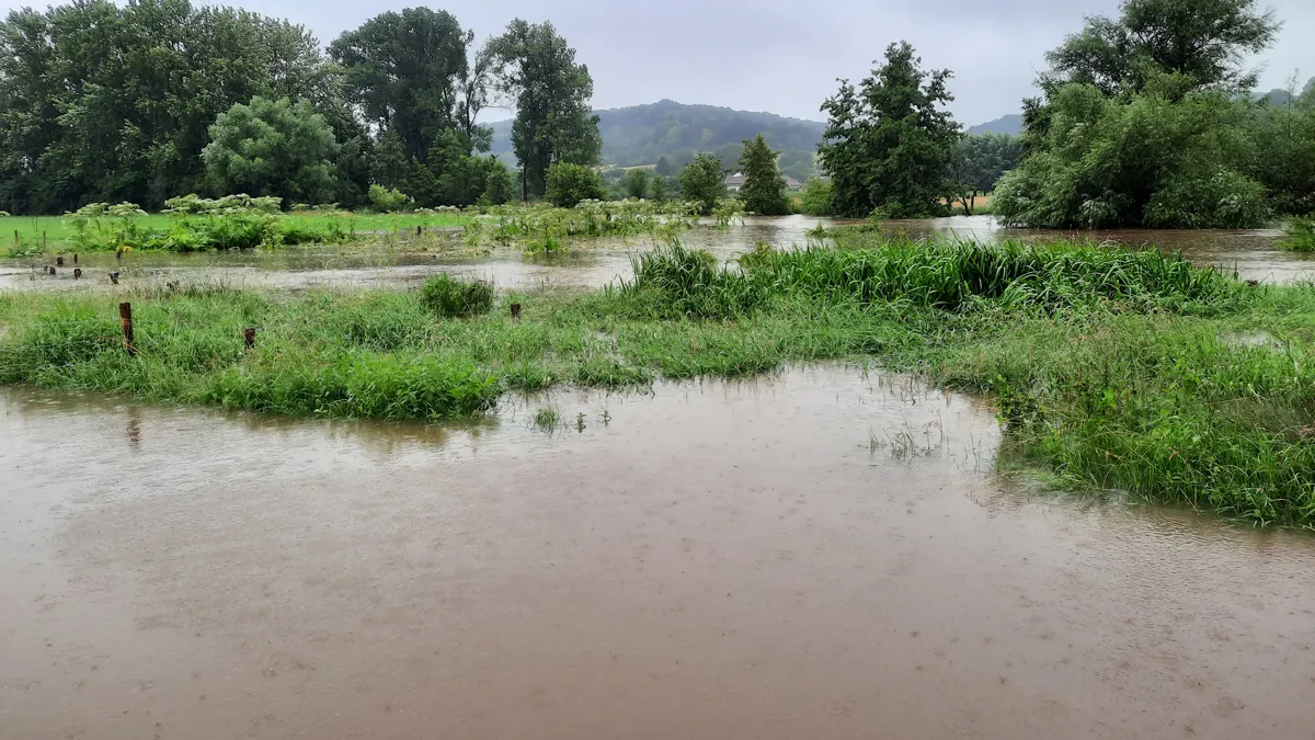 water vertragen in het geuldal ark rewilding
