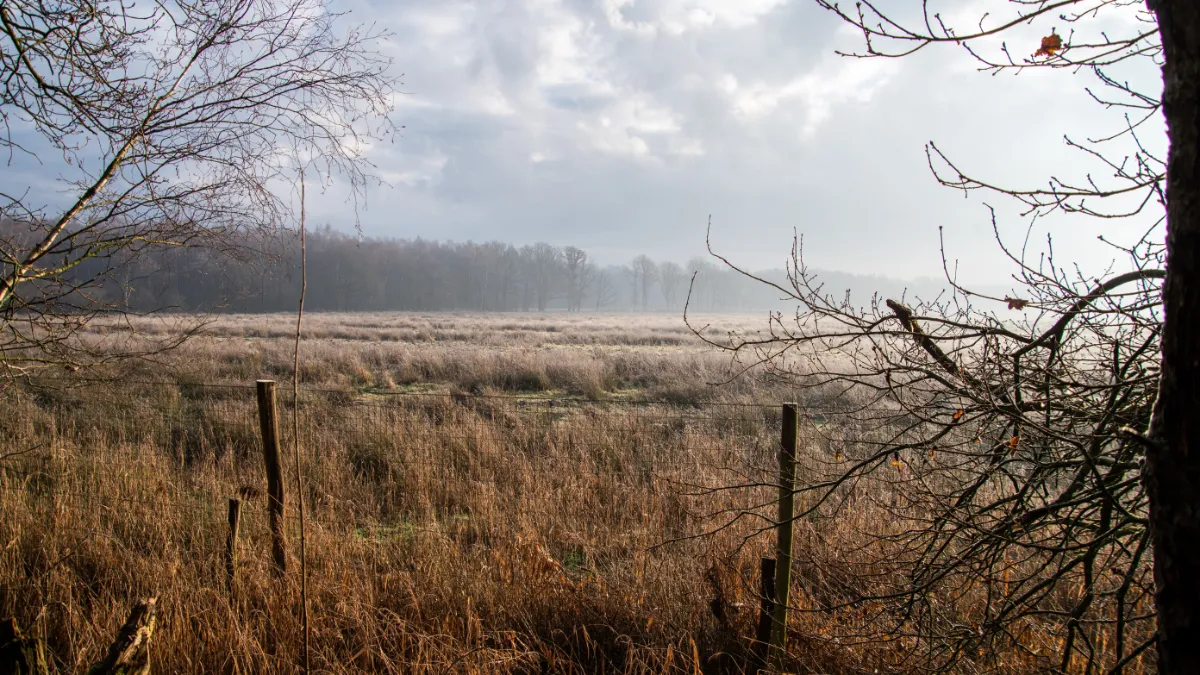 weerterbos ilse broekmans