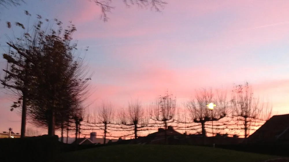 wep8wn2wcfcr4zlb4iykryv8f geheime tuinen fort sanderbout 9 dec 2013 foto 9