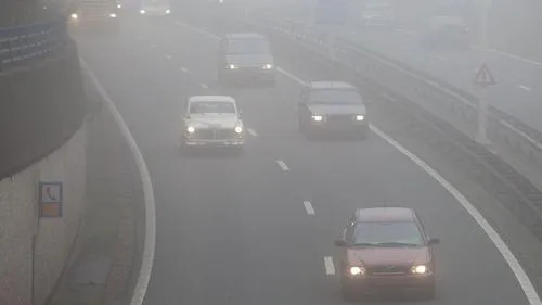 wfq1ico7z7tsjgymgv3bcix0w mist