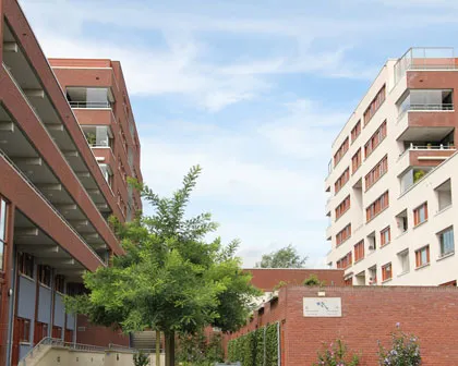 wh147gknvjlxvecgqtrhh8p8w 162808