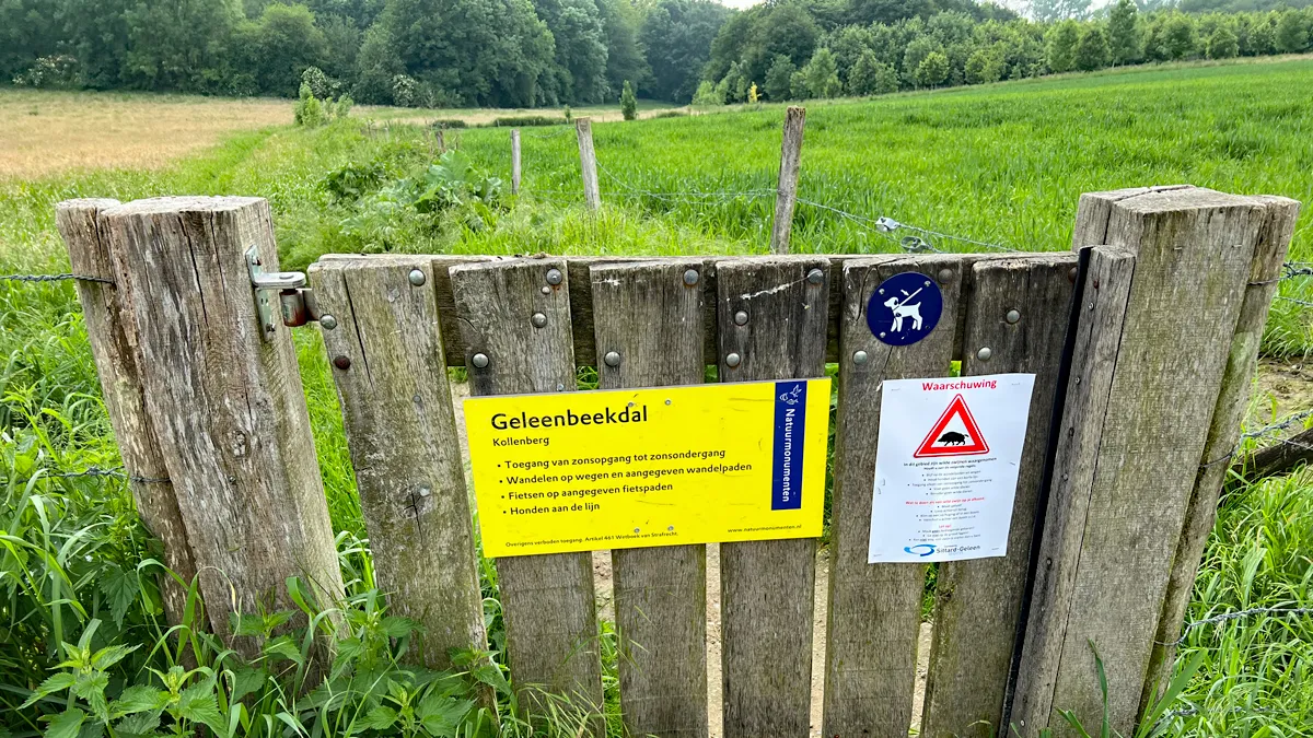wilde zwijnen 2024 geleenbeekdal