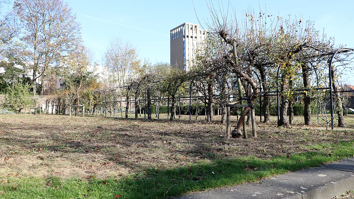 wildernis ursulinentuin gesnoeid