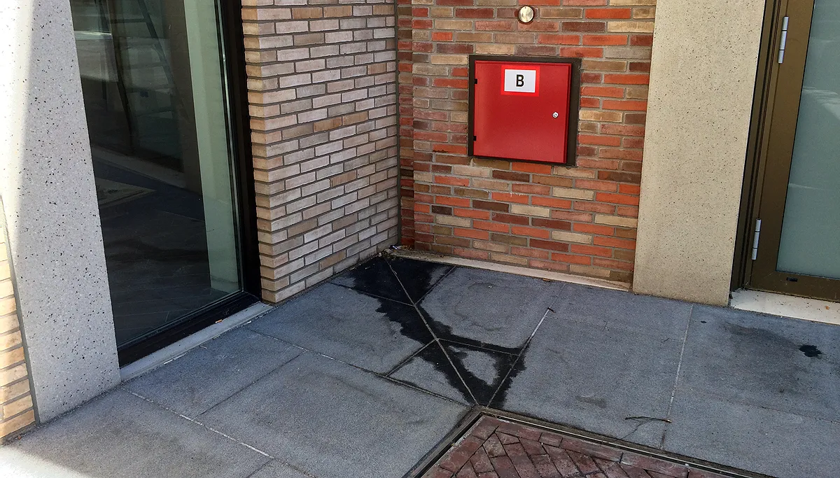 wildplasplek ligne wolf en hertzdahlstraat