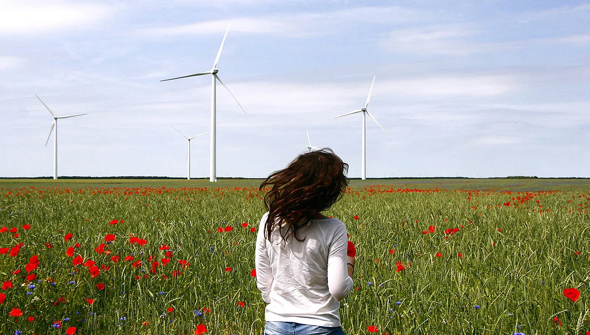 wind turbines 836619 1280